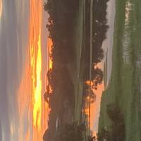 Río de Janeiro, Cataratas de Iguazú y Experiencia en la Selva Amazónica: foto del viajero #1