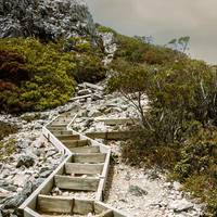 Trek the Cradle Mountain Overland Track traveler photo #3