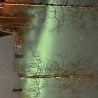 Scandinavian Northern Lights traveler photo #2