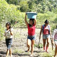 Reis door de jungle van Iquitos - Maniti Eco-Lodge: foto van de reiziger #1