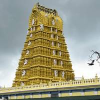 Zuid-India – tempels, heuvels & paleizen: foto van de reiziger #2