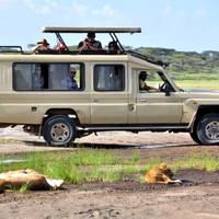 Serengeti, Ngorongoro, Tarangire (with Materuni waterfalls, coffee tour) - 6 Days traveler photo #3