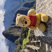 Hoogtepunten van de Andes  – Machu Picchu & Puno – incl. binnenlandse vluchten – 10 dagen: foto van de reiziger #2