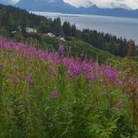 Photo de voyageur Alaska Kenai Adventure 9 jours #3