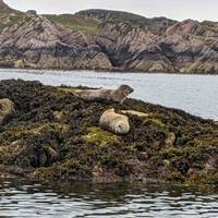 3-daagse Isle of Mull en Iona Rondreis in kleine groep vanuit Glasgow: foto van de reiziger #2