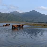 3-daagse Isle of Mull en Iona Rondreis in kleine groep vanuit Glasgow: foto van de reiziger #1