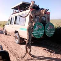 Paquetes VIP 18 días explorando Tanzania: foto del viajero #1