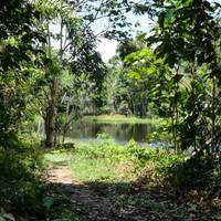 7-Day Iquitos Jungle Tour at Maniti Eco-Lodge traveler photo #2