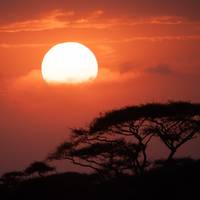 2 Day Amboseli National Park Overnight Safari- Guarantee Daily Departure traveler photo #1