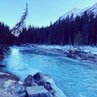 4-daagse Canadese Rockies Zomer Ontdekkingsreis: foto van de reiziger #2
