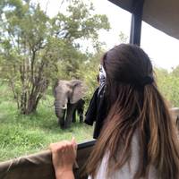 Photo de voyageur Safari classique de 6 jours dans le parc Kruger #1