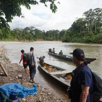 Manu National Park 4 days traveler photo #2