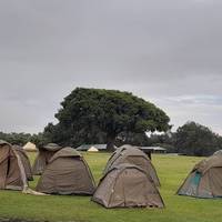 Photo de voyageur Safari "Taste of Tanzania" - goût de la Tanzanie - 4 jours #3