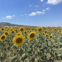 Het beste van Turkije – per Gulet – 5* hotels: foto van de reiziger #2