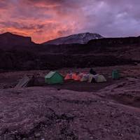 Lemosho Route - 8 Tage Reise-Foto #1