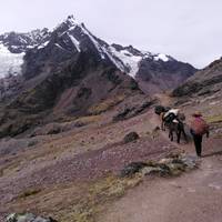 Lares Trek to Machu Picchu - 4 Days traveler photo #1