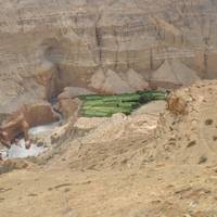 Upper Mustang trek: foto van de reiziger #2