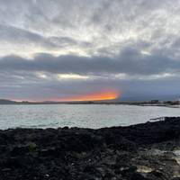 10 Days Galapagos Island Hopping in Santa Cruz and Isabela traveler photo #2