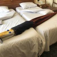 Photo de voyageur Rêve du Nil - 4 jours de Louxor à Assouan (croisière 5 étoiles sur le Nil et visites touristiques) #2