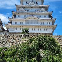 Photo de voyageur Route dorée du Japon avec Hiroshima 2025 #3
