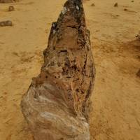 7 Day Perth to Exmouth Explorer & Ningaloo Reef Return - from Perth traveler photo #3