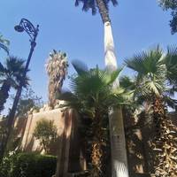 Photo de voyageur Sur les traces des Pharaons - Vols intérieurs inclus #2
