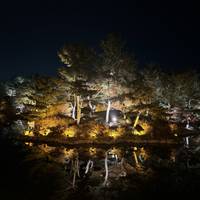 10-Day Premium South Korea Adventure: Culture, Cuisine, and Coastlines traveler photo #3