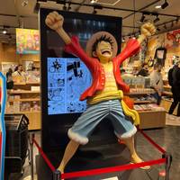 Legende van Japan (van Tokyo naar Osaka): foto van de reiziger #3