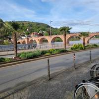 Photo de voyageur Tournée des vignobles sur le Rhin #3
