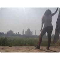 Adventures Ranthambore Wildlife Safari Tour with Golden Triangle 7Days traveler photo #1