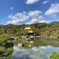 Photo de voyageur 8 jours Top Japan Mini Group Tour avec 3&amp;4 Stars Hotels, Max 6 People #2