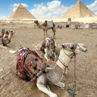 Cairo & Nile Cruise Tours - Included Internal Flights traveler photo #1