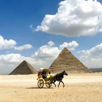 Cairo & Nile Cruise Tours - Included Internal Flights traveler photo #3