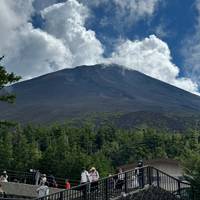 9D Splendid Japan Deluxe-Private 4 Star Hotels|Osaka to Tokyo traveler photo #1