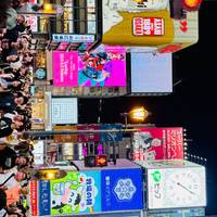 9D Splendid Japan Deluxe-Private 4 Star Hotels|Osaka to Tokyo traveler photo #3