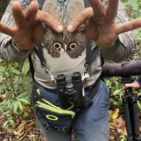 3-Day Tambopata Rainforest Amazon Natural Reserve Puerto Maldonado traveler photo #3