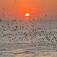 Essentie van Bali in 10 dagen - Privé Deluxe Tour: foto van de reiziger #1