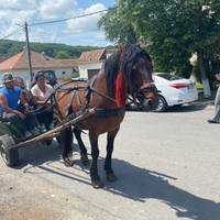 Rumänien UNESCO Privatreise - 7 Tage Reise-Foto #2