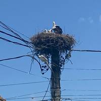 Rumänien UNESCO Privatreise - 7 Tage Reise-Foto #1