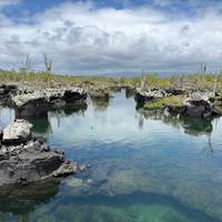 5 Days Galapagos Expedition Tour traveler photo #2