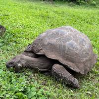 5 Days Galapagos Expedition Tour traveler photo #3