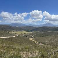 Photo de voyageur Route des jardins + Safari au départ du Cap - 3 jours #3