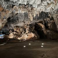 Photo de voyageur Route des jardins + Safari au départ du Cap - 3 jours #1