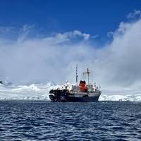 Classic Antarctica - 10 days traveler photo #1