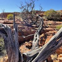 Photo de voyageur 3 jours à Uluru Red Centre Kings Canyon (Camping) - Depuis Ayers Rock #2