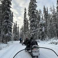 Photo de voyageur Excursion de luxe au Yukon pour observer les aurores boréales #2
