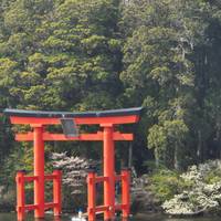 Photo de voyageur Explorateur essentiel du Japon - 13 jours #3