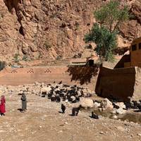 Photo de voyageur Circuit de 9 jours au Maroc au départ de Marrakech #1