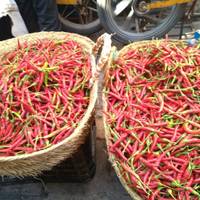 Marokko rondreis 14 dagen vanuit Casablanca: foto van de reiziger #3