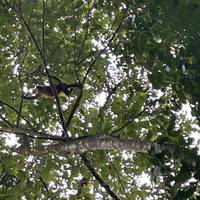 Costa Rica: olas y atardeceres: foto del viajero #3